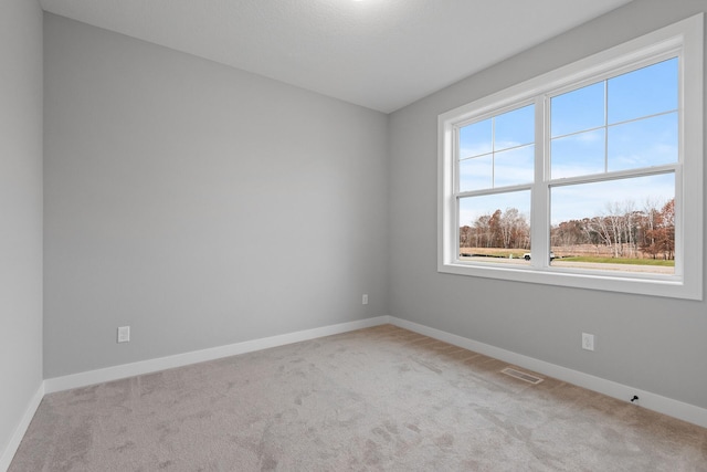 22816 Jarvis St NW, Elk River, MN 55330 - spare room featuring light colored carpet