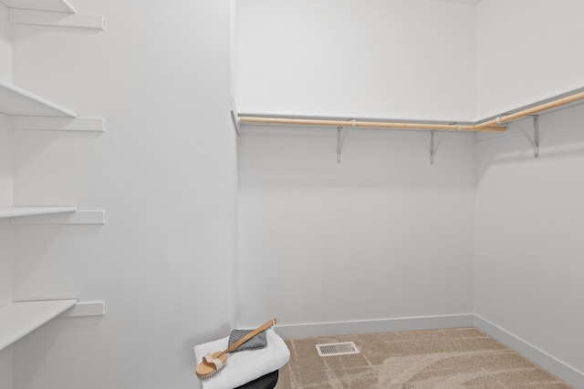 22816 Jarvis St NW, Elk River, MN 55330 - spacious closet featuring carpet
