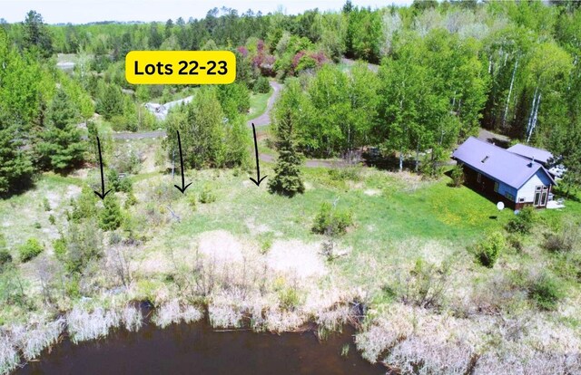 80046 Alder Ln, Greenwood Twp, MN 55790 - photo 1