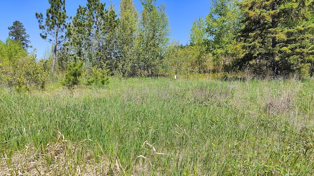 80046 Alder Ln, Greenwood Twp, MN 55790 - photo 3