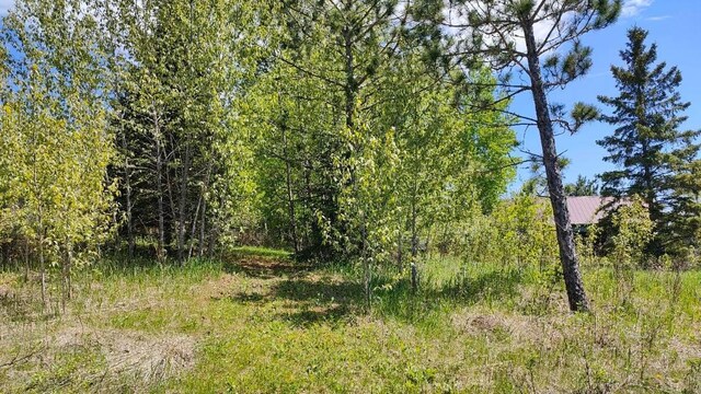 80046 Alder Ln, Greenwood Twp, MN 55790 - photo 4