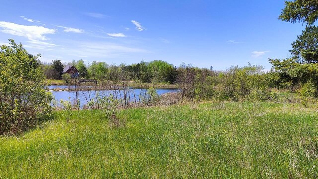 80046 Alder Ln, Greenwood Twp, MN 55790 - photo 5