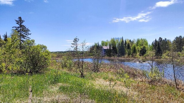 80046 Alder Ln, Greenwood Twp, MN 55790 - photo 8