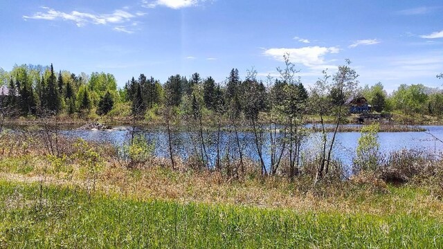 80046 Alder Ln, Greenwood Twp, MN 55790 - photo 9