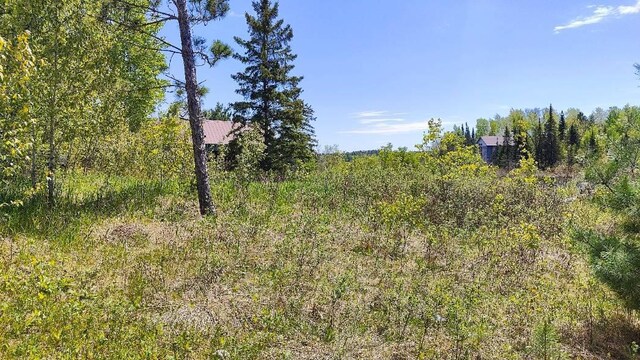 80046 Alder Ln, Greenwood Twp, MN 55790 - photo 10