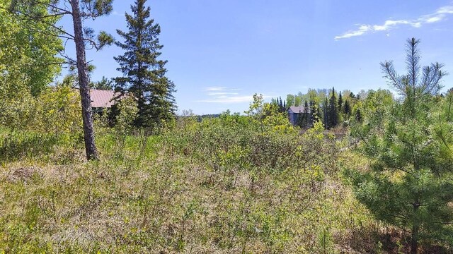 80046 Alder Ln, Greenwood Twp, MN 55790 - photo 13