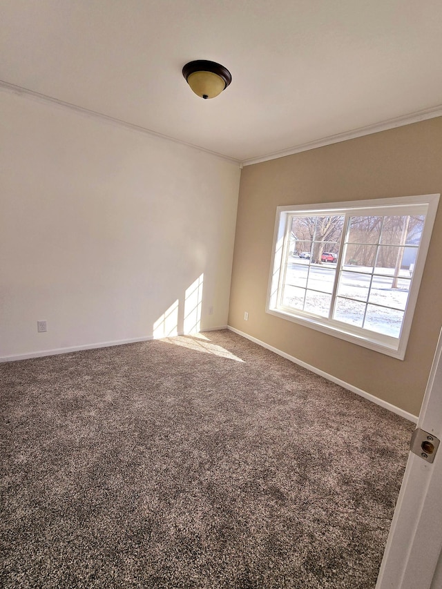 unfurnished room featuring crown molding and carpet