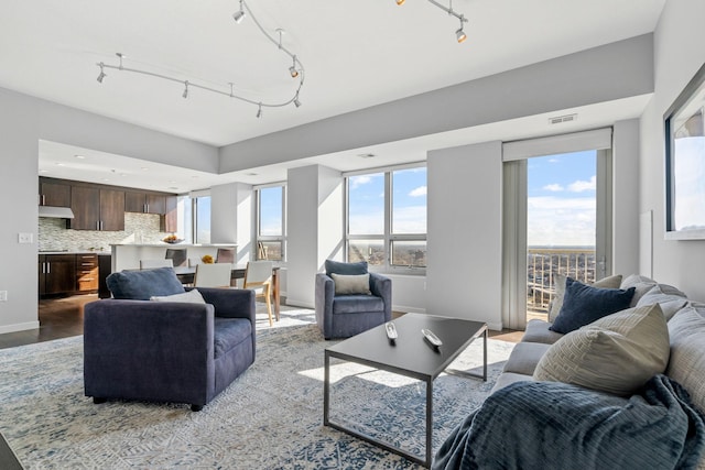 living room with plenty of natural light