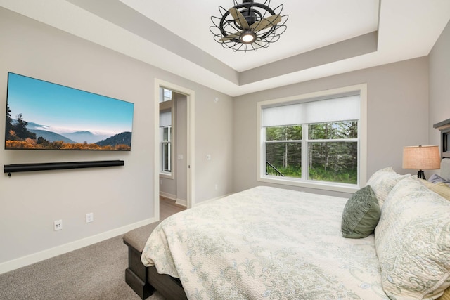 bedroom featuring carpet and a tray ceiling