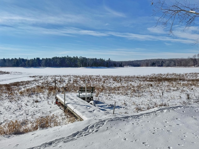 view of yard layered in snow