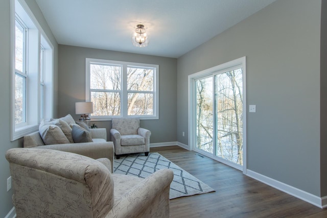 living room with wood-type flooring