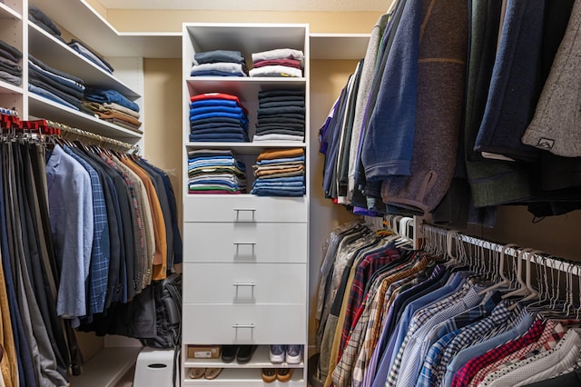 17365 Hanson Ct, Eden Prairie, MN 55347 - view of spacious closet