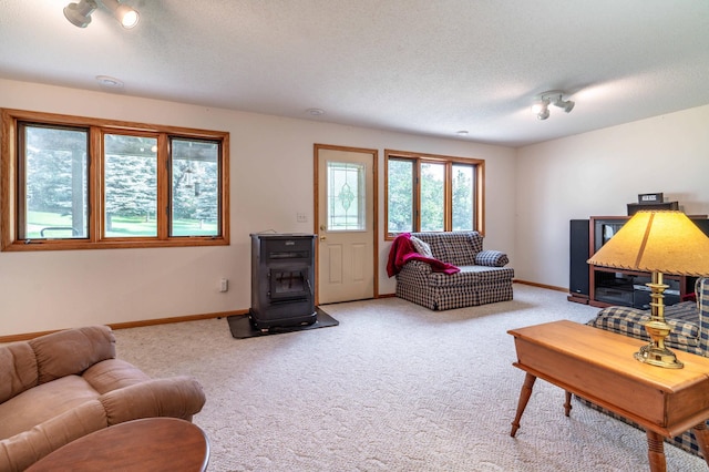 29689 203rd Ave, Fergus Falls, MN 56537 - photo 31