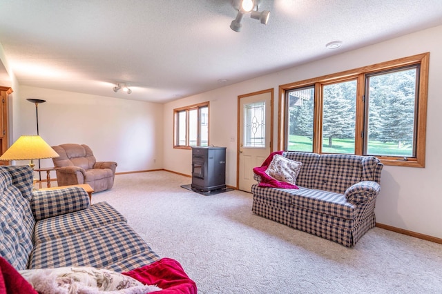 29689 203rd Ave, Fergus Falls, MN 56537 - photo 33