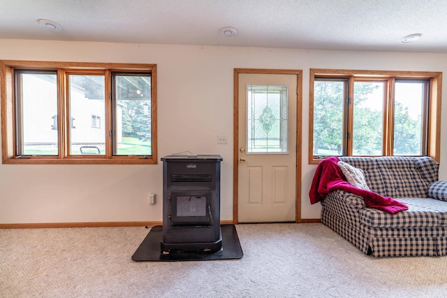 29689 203rd Ave, Fergus Falls, MN 56537 - photo 34