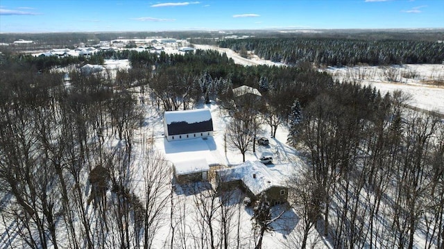 view of snowy aerial view