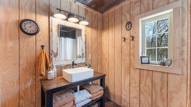 bathroom featuring sink, plenty of natural light, and wood walls