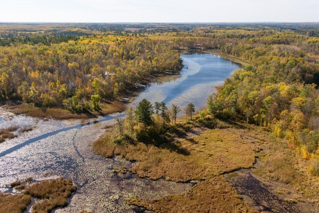 TractB Brietbach Road, Park Rapids MN, 56470 land for sale