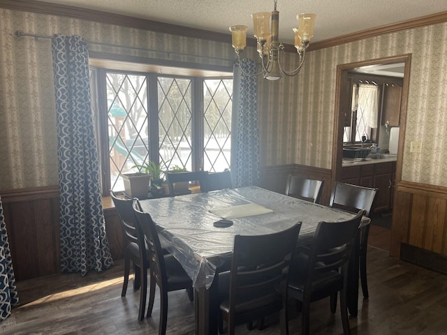 dining area featuring crown molding, dark hardwood / wood-style floors, and a textured ceiling