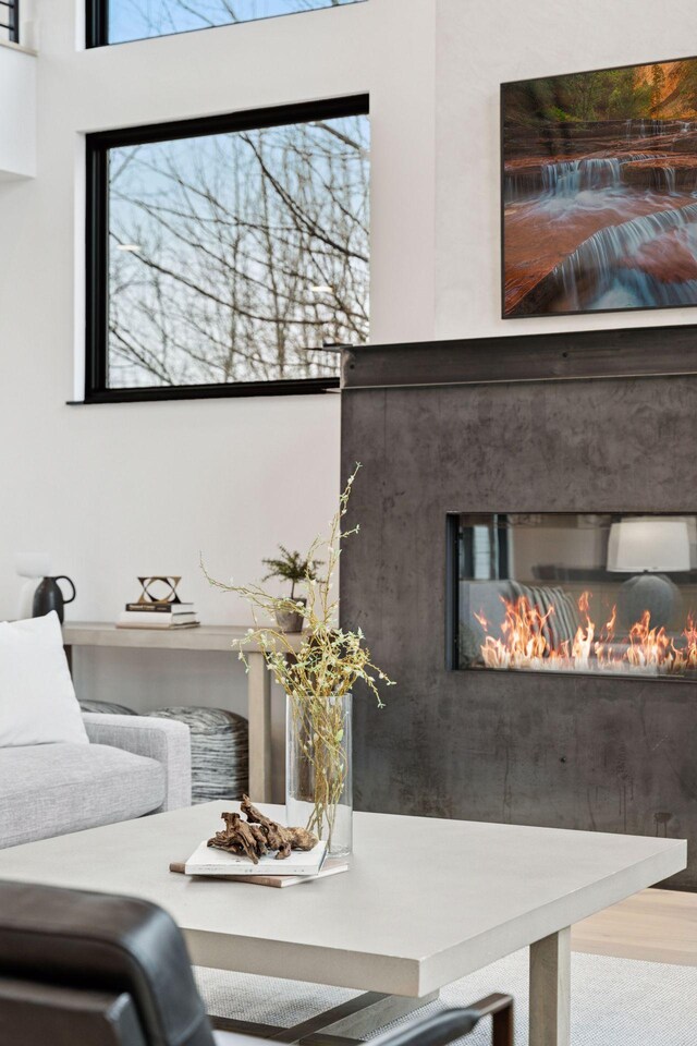 details featuring a premium fireplace