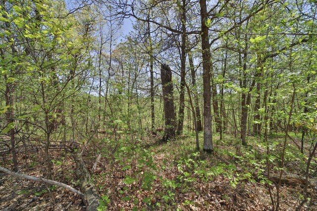 TBD Weaver Point Rd, Breezy Point, MN 56472