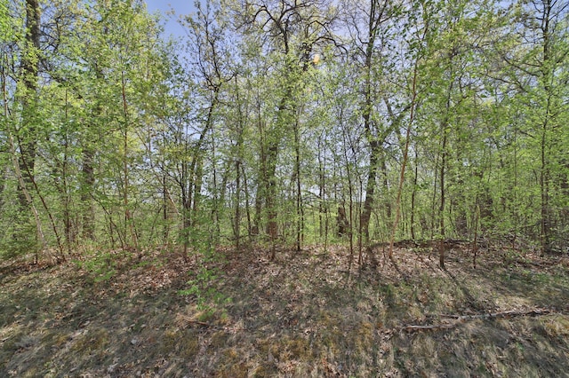 TBD Weaver Point Rd, Breezy Point, MN 56472