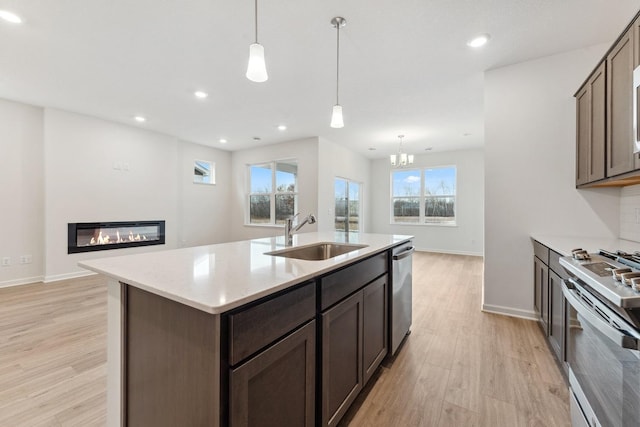 kitchen with dark brown cabinetry, light wood-style floors, a glass covered fireplace, stainless steel appliances, and a sink