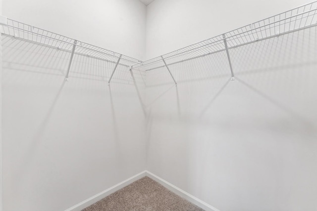 walk in closet featuring carpet