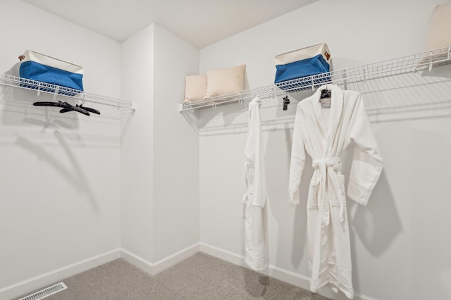 spacious closet featuring carpet flooring