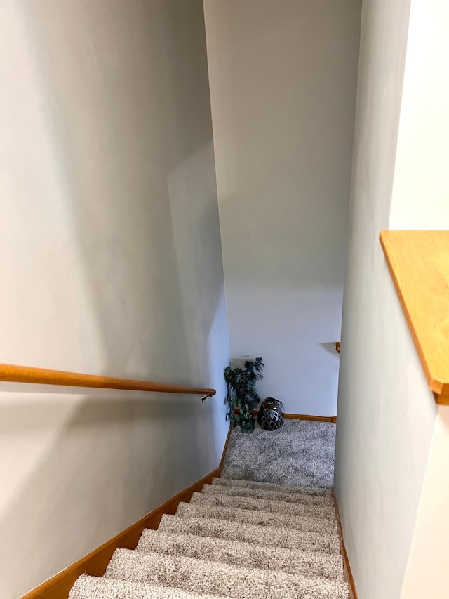 staircase with carpet