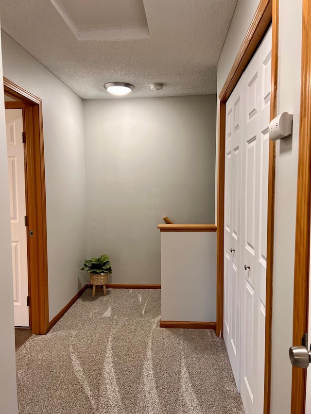 hall featuring carpet flooring and a textured ceiling