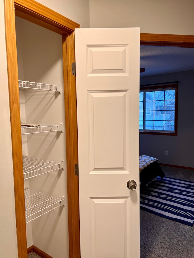 view of closet