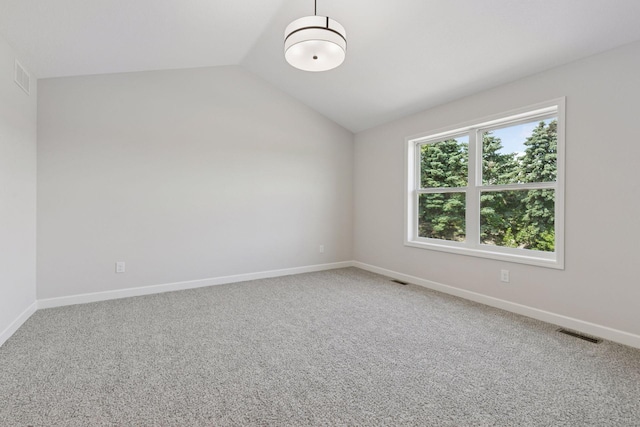 17953 Hidden Creek Trl, Lakeville, MN 55044 - bonus room featuring lofted ceiling and carpet