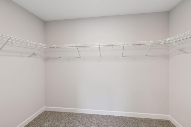 17953 Hidden Creek Trl, Lakeville, MN 55044 - walk in closet featuring carpet flooring