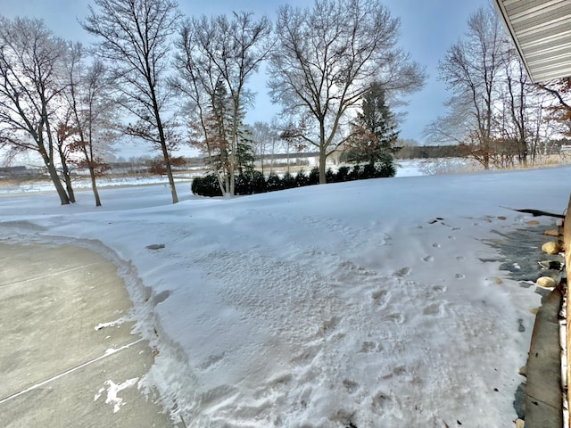 view of yard covered in snow