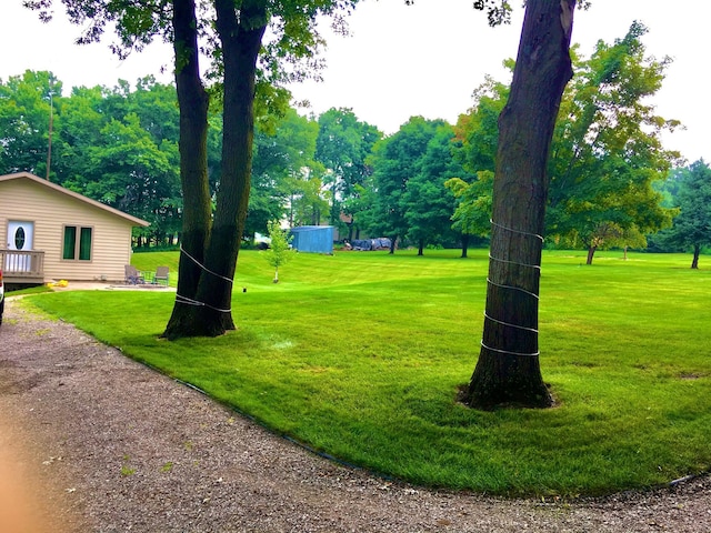 view of community featuring a yard