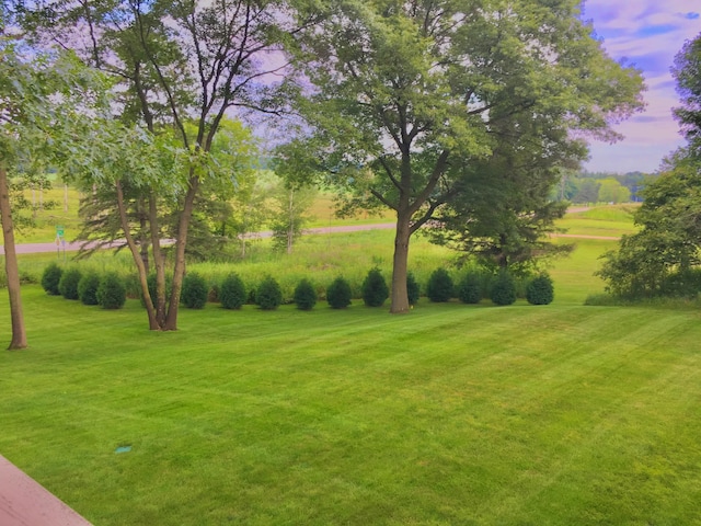 view of yard at dusk