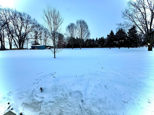 view of yard layered in snow