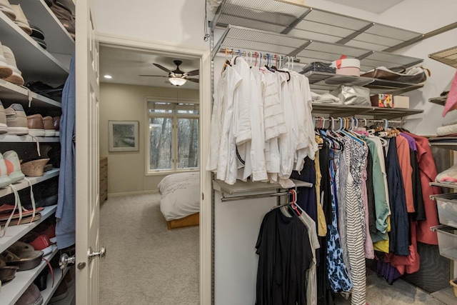 spacious closet featuring ceiling fan and carpet floors