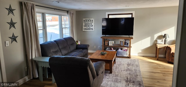 living room with light wood-type flooring