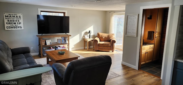 living room with light hardwood / wood-style floors