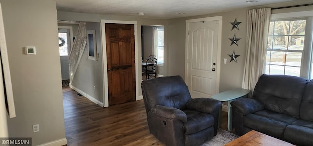 living room featuring wood-type flooring