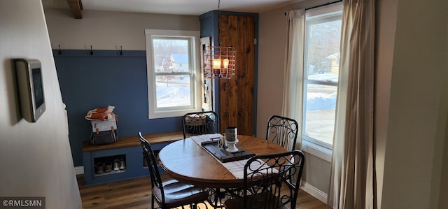 dining area with a healthy amount of sunlight and dark wood-type flooring