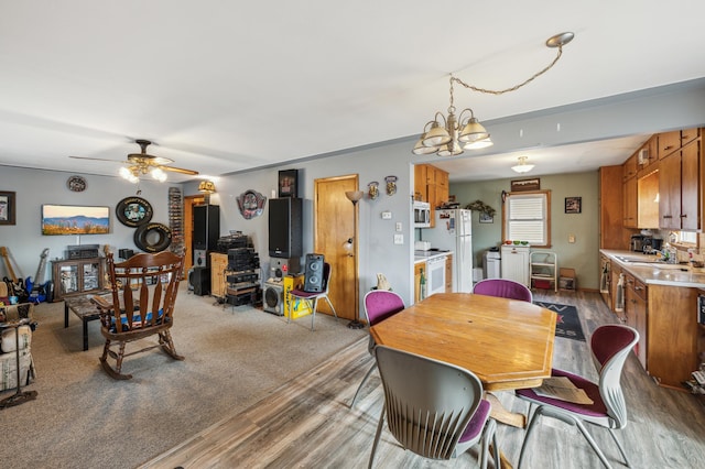 dining space with sink, ceiling fan with notable chandelier, and light wood-type flooring