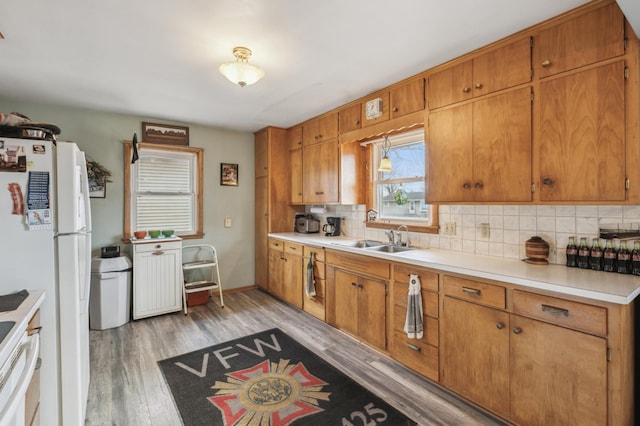 kitchen with tasteful backsplash, sink, light hardwood / wood-style floors, and white refrigerator