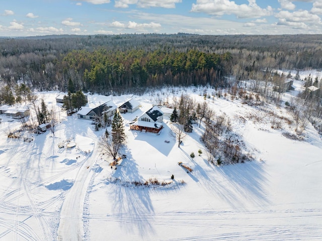 view of snowy aerial view