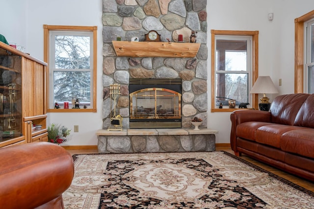 living room featuring a fireplace and hardwood / wood-style floors