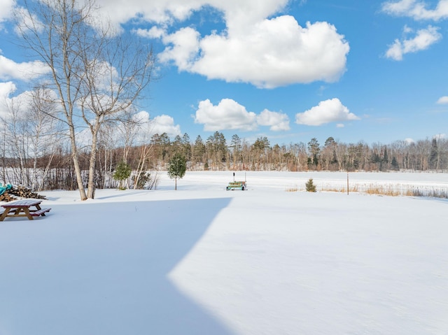 view of snowy yard