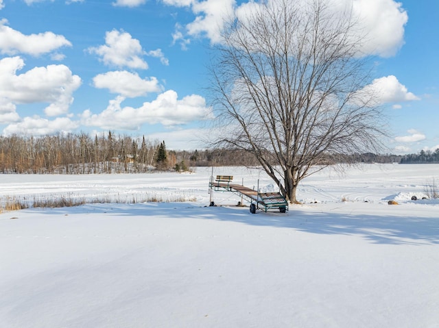 view of yard layered in snow