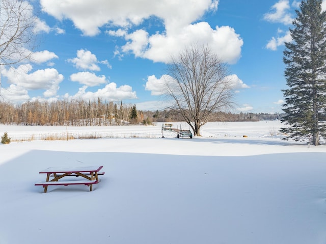 view of snowy yard